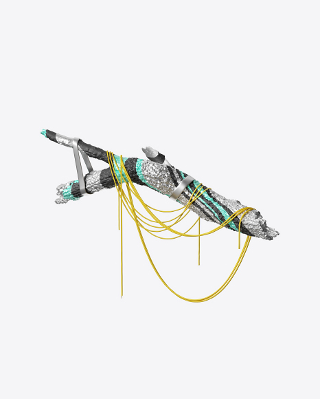 Abstract Log with Ropes PNG