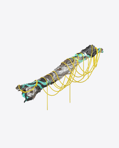 Abstract Log with Ropes PNG