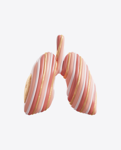 Abstract Lungs PNG