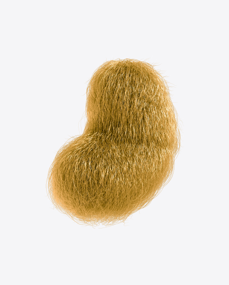 Golden Fur Shape PNG