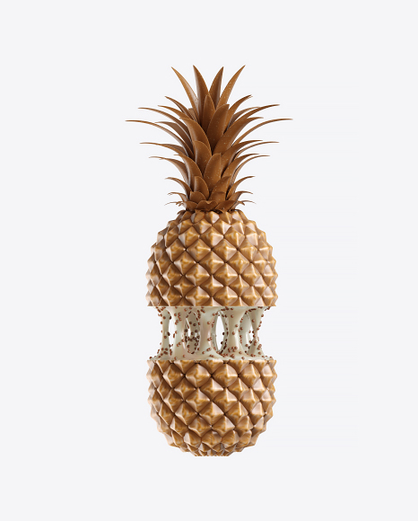Abstract Fruit PNG