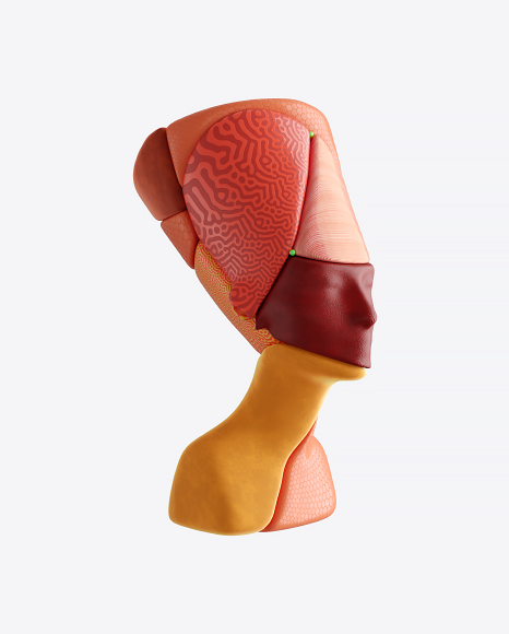 Abstract Head PNG