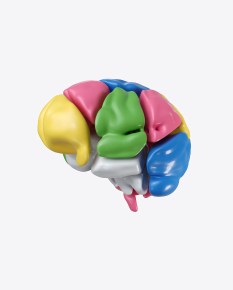 Abstract Brain PNG