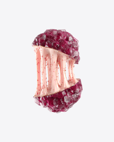 Abstract Fruit PNG
