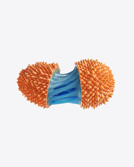 Abstract Fruit PNG