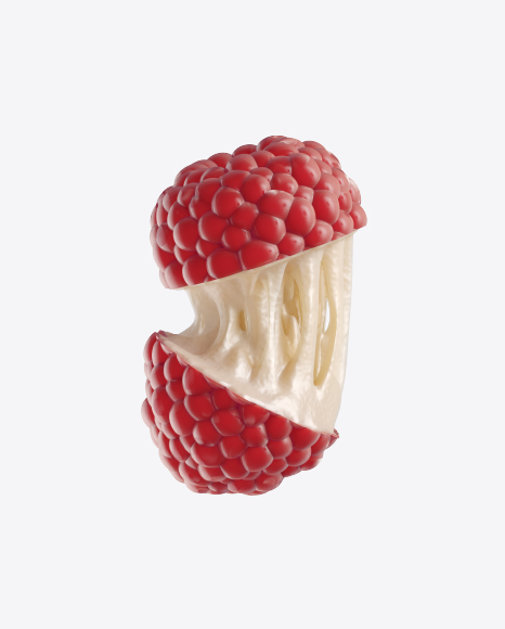 Abstract Fruit PNG