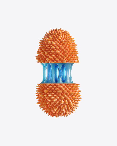 Abstract Fruit PNG