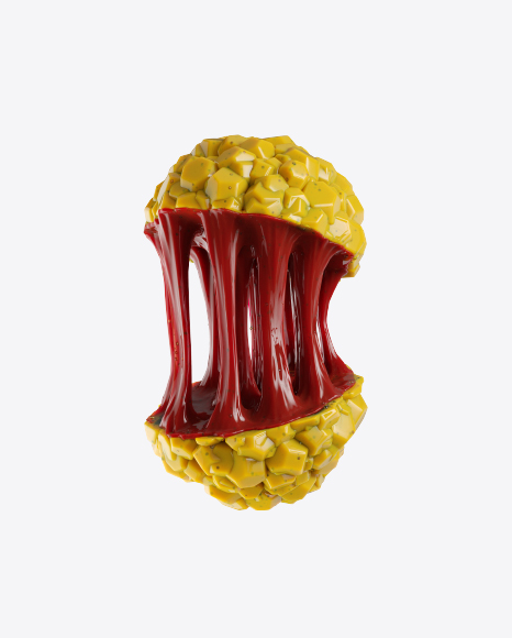 Abstract Fruit PNG