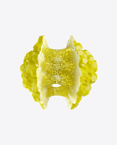 Abstract Fruit PNG