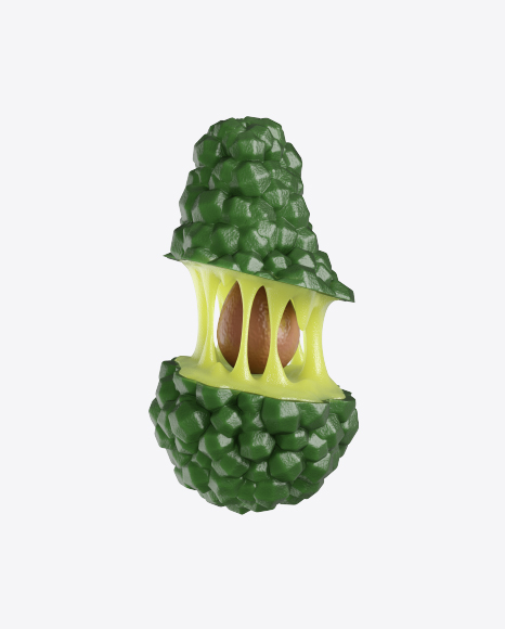 Abstract Fruit PNG