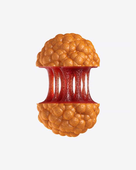 Abstract Fruit PNG
