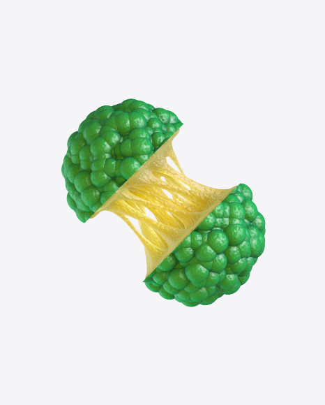 Abstract Fruit PNG