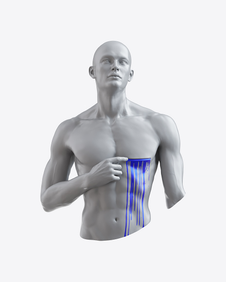 Abstract Torso PNG