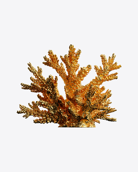 Gold Coral PNG