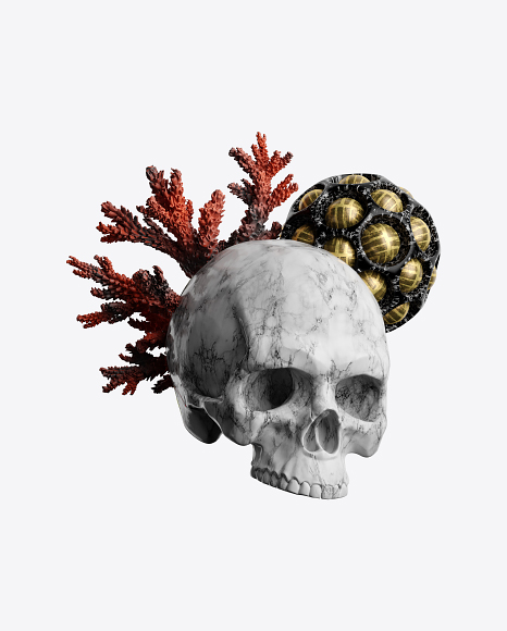 Abstract Set w/ Skull PNG
