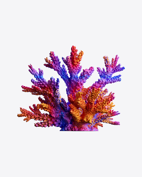 Vibrant Coral PNG