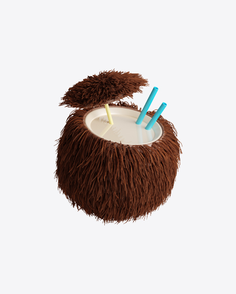 Coconut Icon