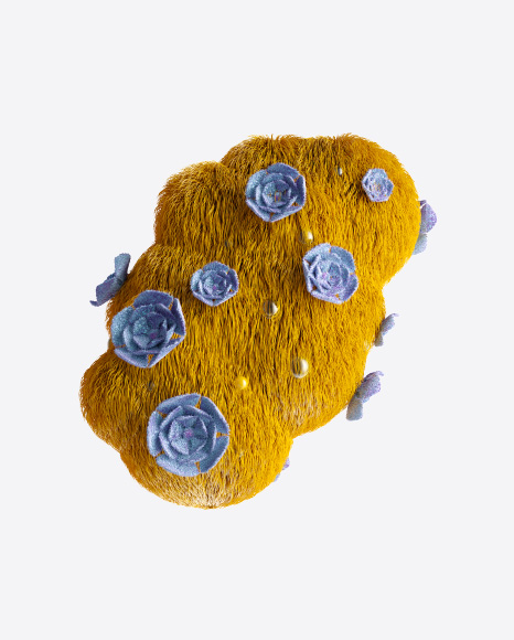 Abstract Organic Shape
