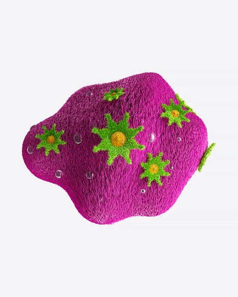 Abstract Organic Shape