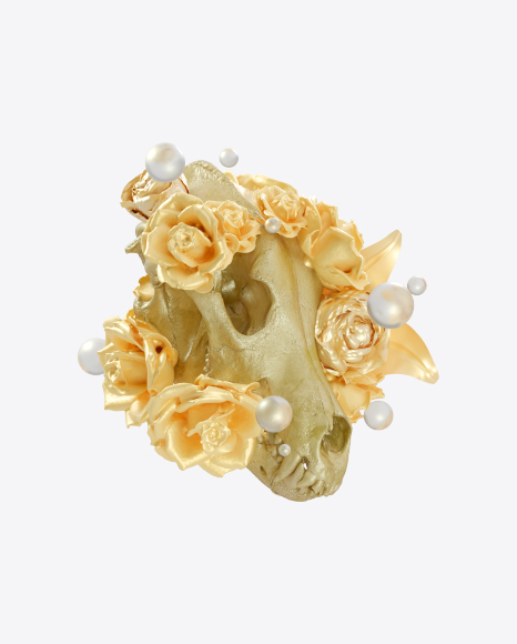 Skull Set