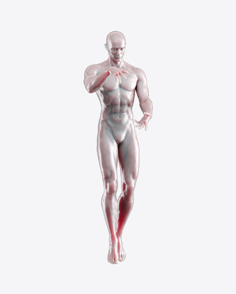 Body of a Man