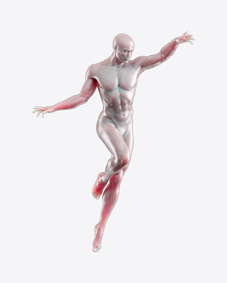 Body of a Man
