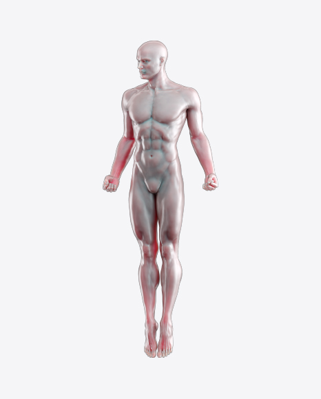 Body of a Man