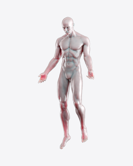 Body of a Man