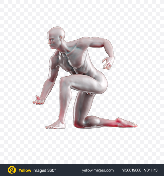 Download Body of a Man Transparent PNG on YELLOW Images