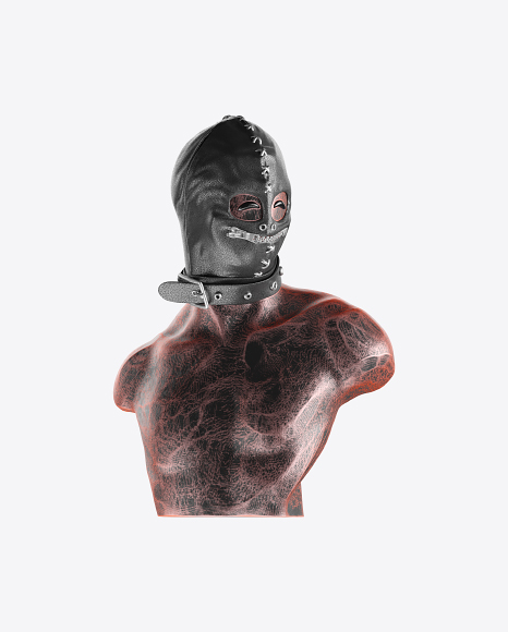Abstract Bust