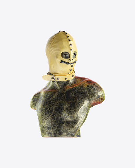 Abstract Bust