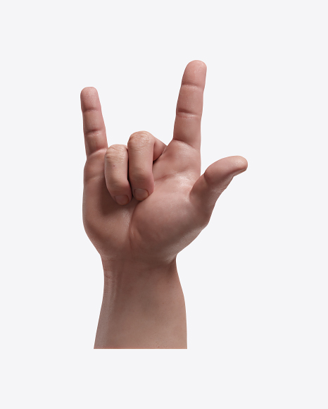 Realistic Hand