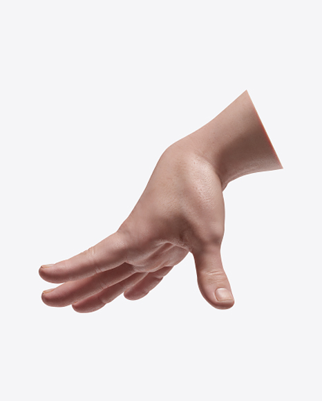 Human Hand