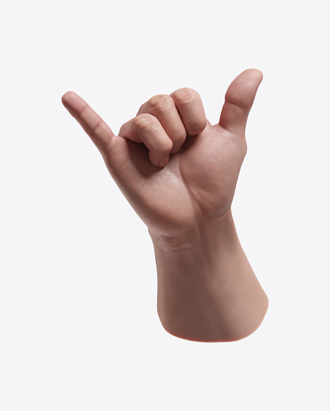Human Hand