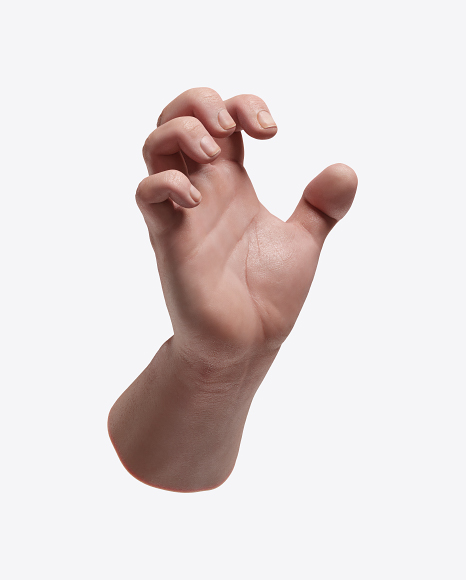 Human Hand