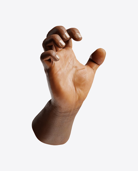Human Hand