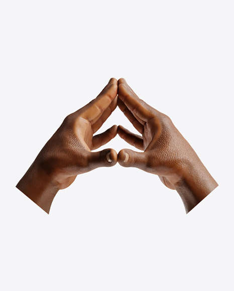Human Hands