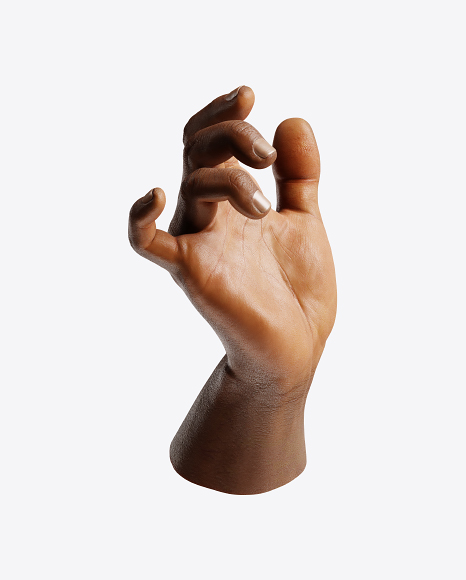 Human Hand